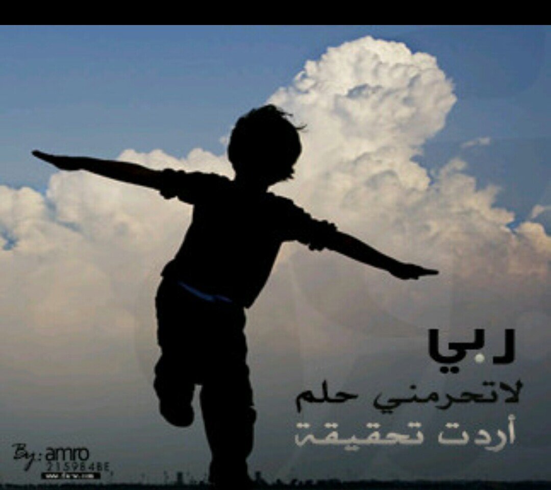 alialhomadi20's profile picture. 