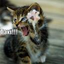 Adam Pring - @awesome_dude95 - Twitter