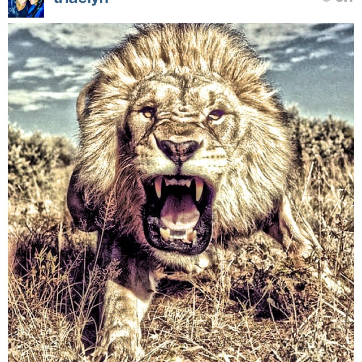 DLyons23's profile picture. Teamwork makes the dream work !