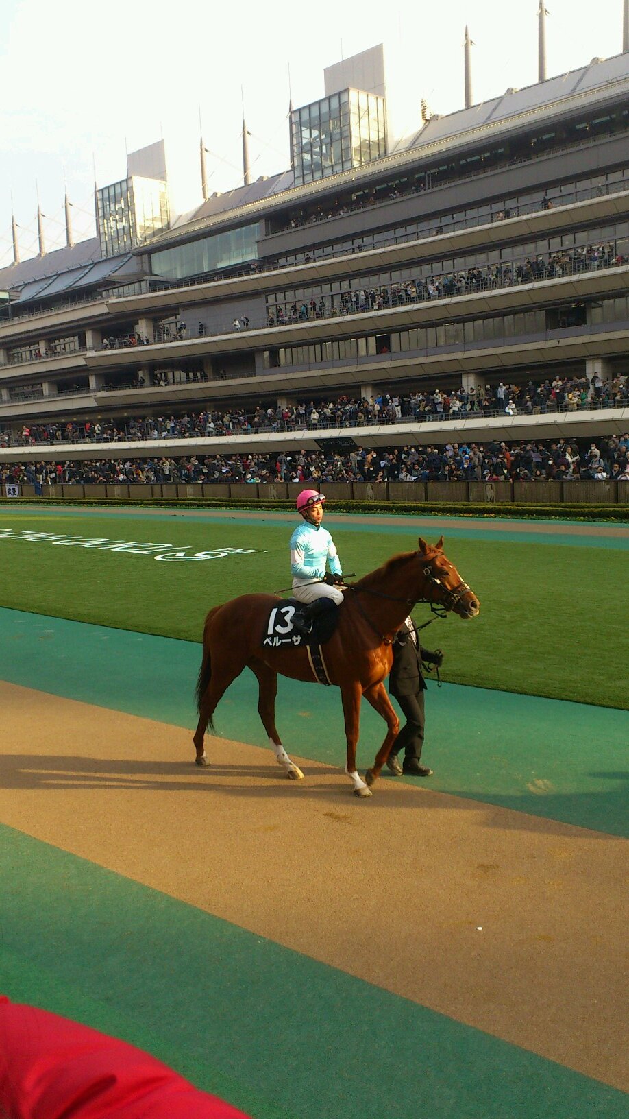 趣味(競馬、野球、サッカー)や個別株投資、インデックス投資についてたまにつぶやきます。
平日は個別株、休日は競馬。ペルーサが好き。ペルーサ産駒の情報追ってます。野球はファイターズ、サッカーはコンサドーレを応援。道産子。