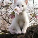 Арина Щедрина (@01Arina55) Twitter