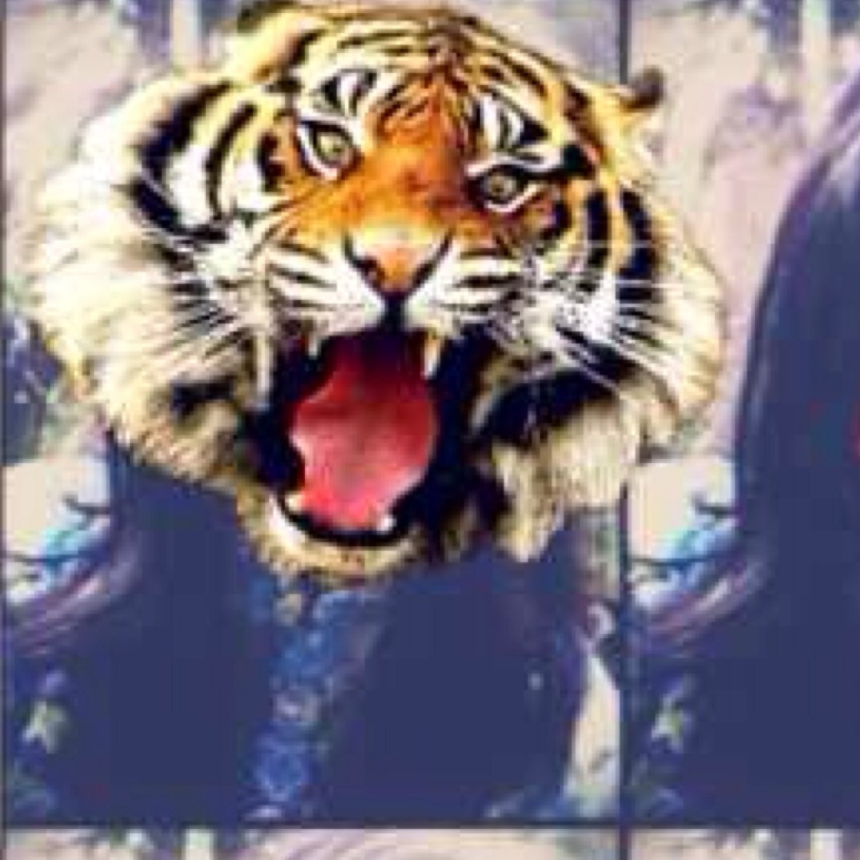Follow @lulukirana_ unfollow @lulukirana !!