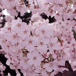 むそう塾生（４－５）幸せコース6期生です