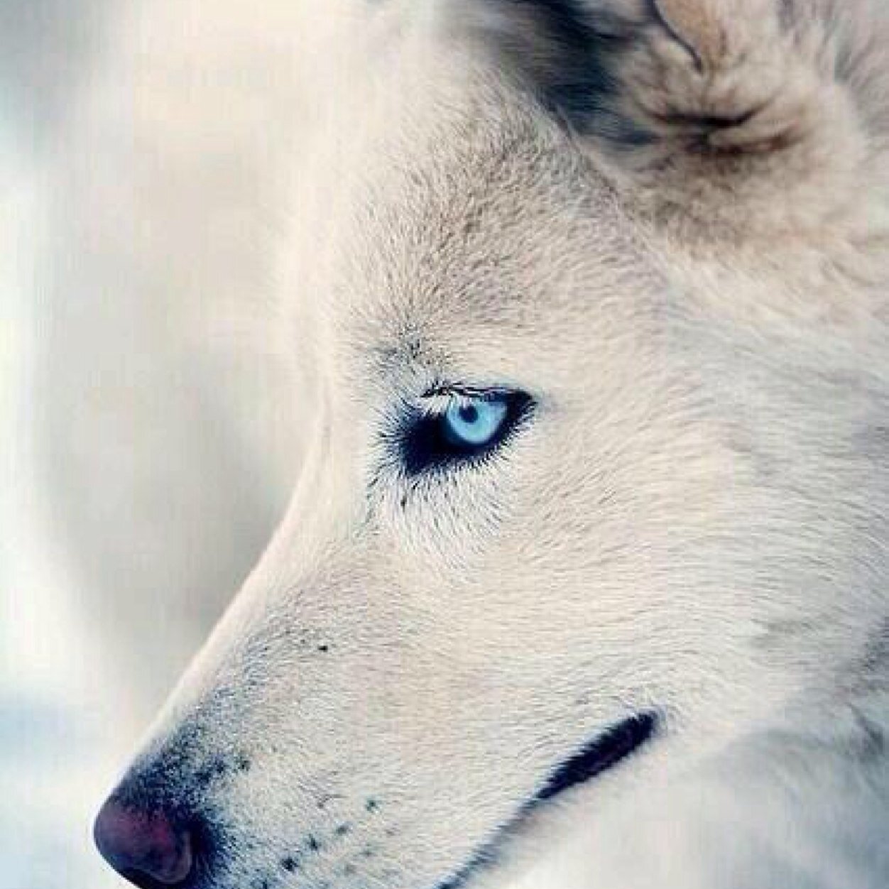 maxkyck's profile picture. 