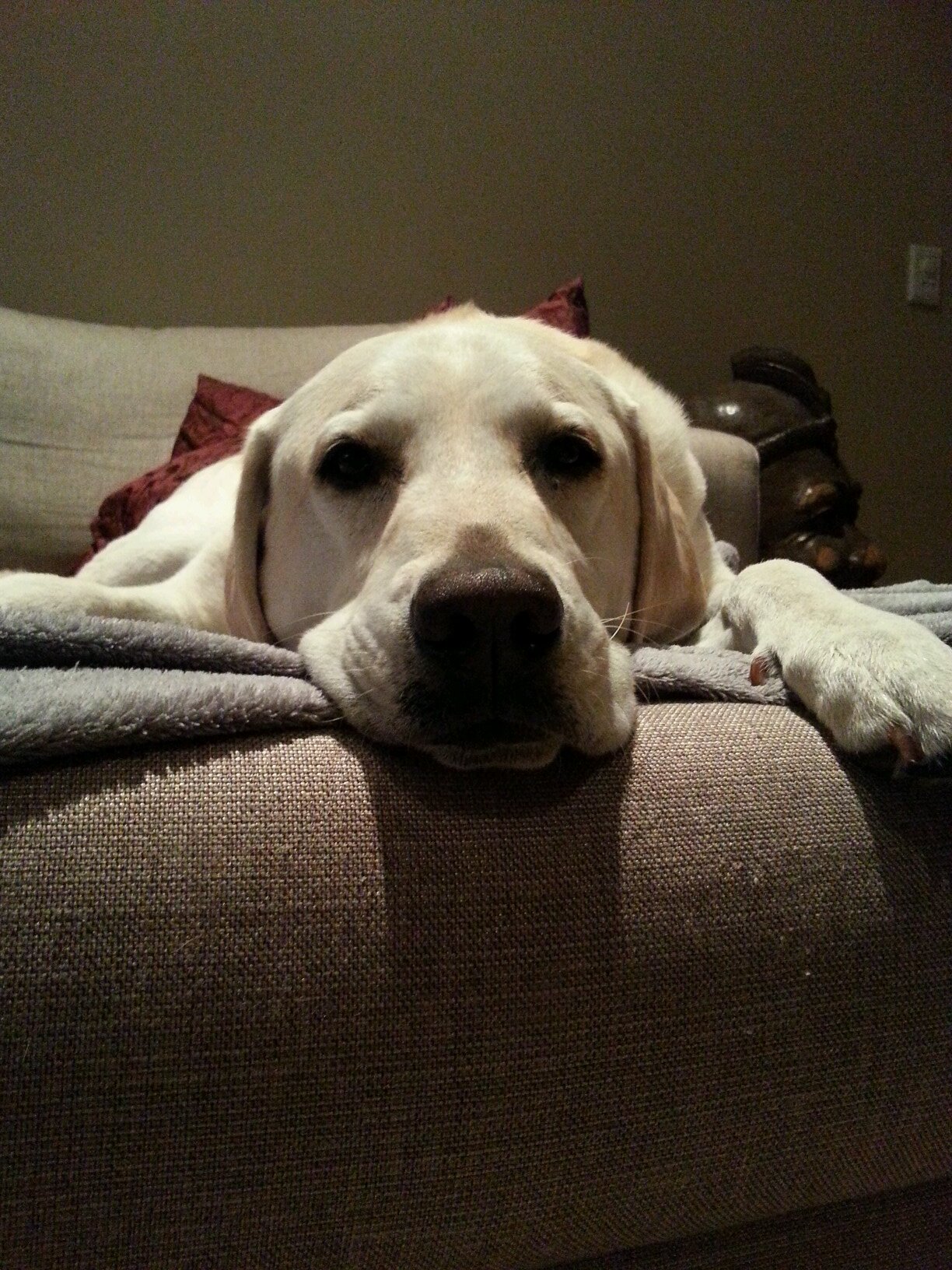 MorneTaute's profile picture. It's none of my business what you think of me!