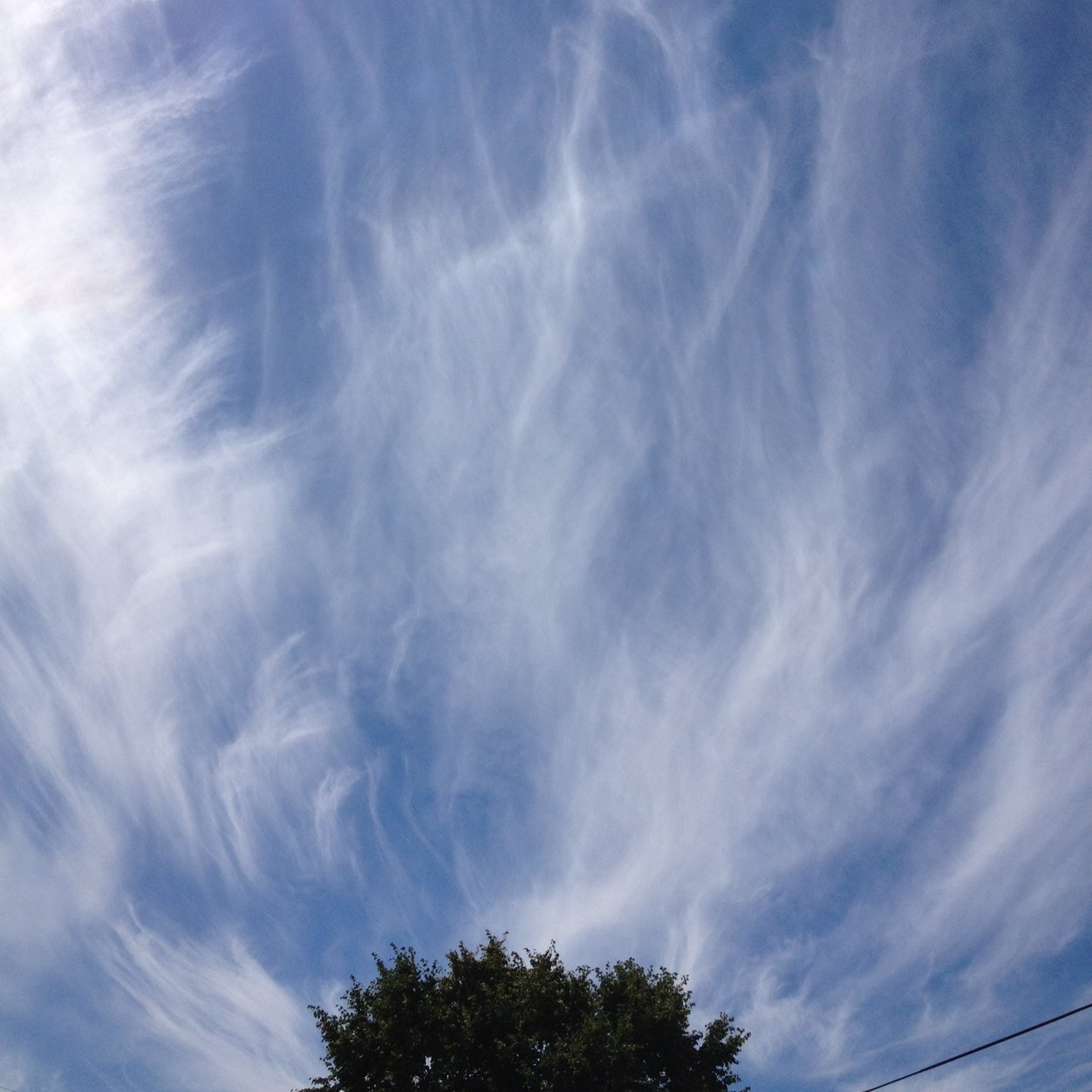 grumpybear812's profile picture. 