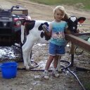 Kim Egan - @KimmysCows - Twitter