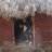 Baldo_Guaton's profile image