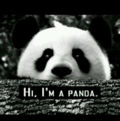 Lo perfecto es aburrido, fin.     →Me Llamo Elisa←        4-11-13.    Yeaah Nigga.