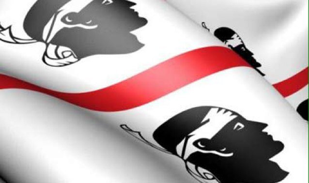 TolaAntonello's profile picture. 