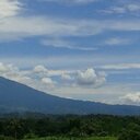 CrstWilz - @WilliamChrist12 - Twitter