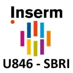 Laboratoire INSERM U846 - Institut de recherche cellules souches et cerveau