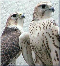 wgd257's profile picture. 