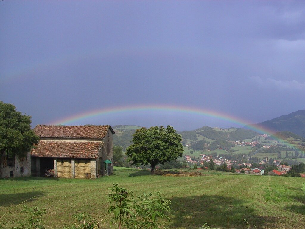 MarthaPHaynes's profile picture. Always looking for (almost) dark galaxies