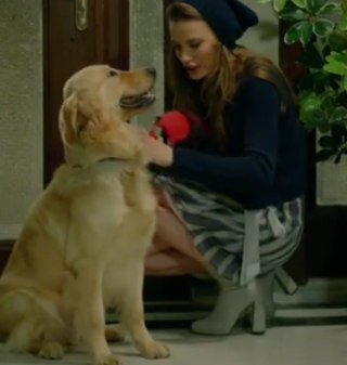 Ben çimen düşmanı Safari, Beylicelerin köpegi..Hav hav.. @Faruk_Beylice ve @Medcezir_Mira sayesinde sürekli Serezlere kaçamak yapıyorum..Hav Hav Hav Hav Hav Hav