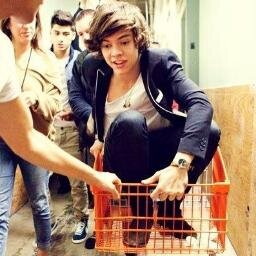 directioners Divaas 3