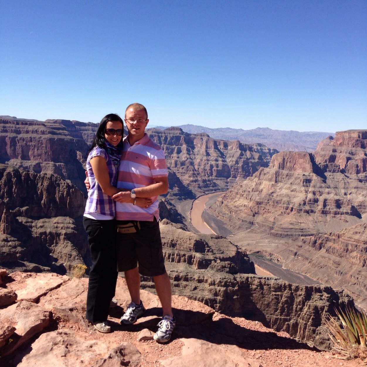 tomxox79's profile picture. 