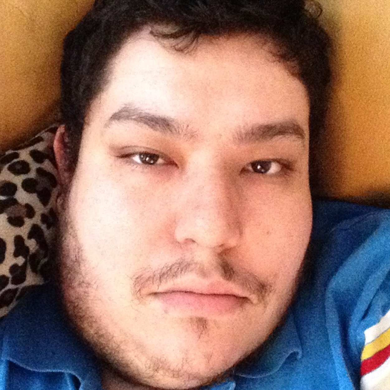 plldeev's profile picture. 