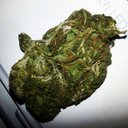 Mary jane kush - @Maryjane4us - Twitter