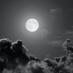 salehalhatem's profile picture. 