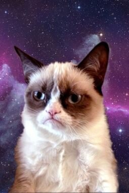 photobombfreaks's profile picture. The best and funniest photobombs ever seen.