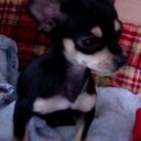 Carla Anton - @carlaok59 - Twitter