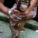 Nicky Rogers - @NicRogers71 - Twitter