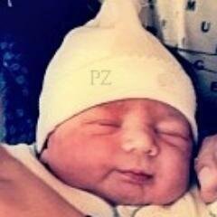 Zion Chegou Para Alegrar a vida de todos nós da Mafia
