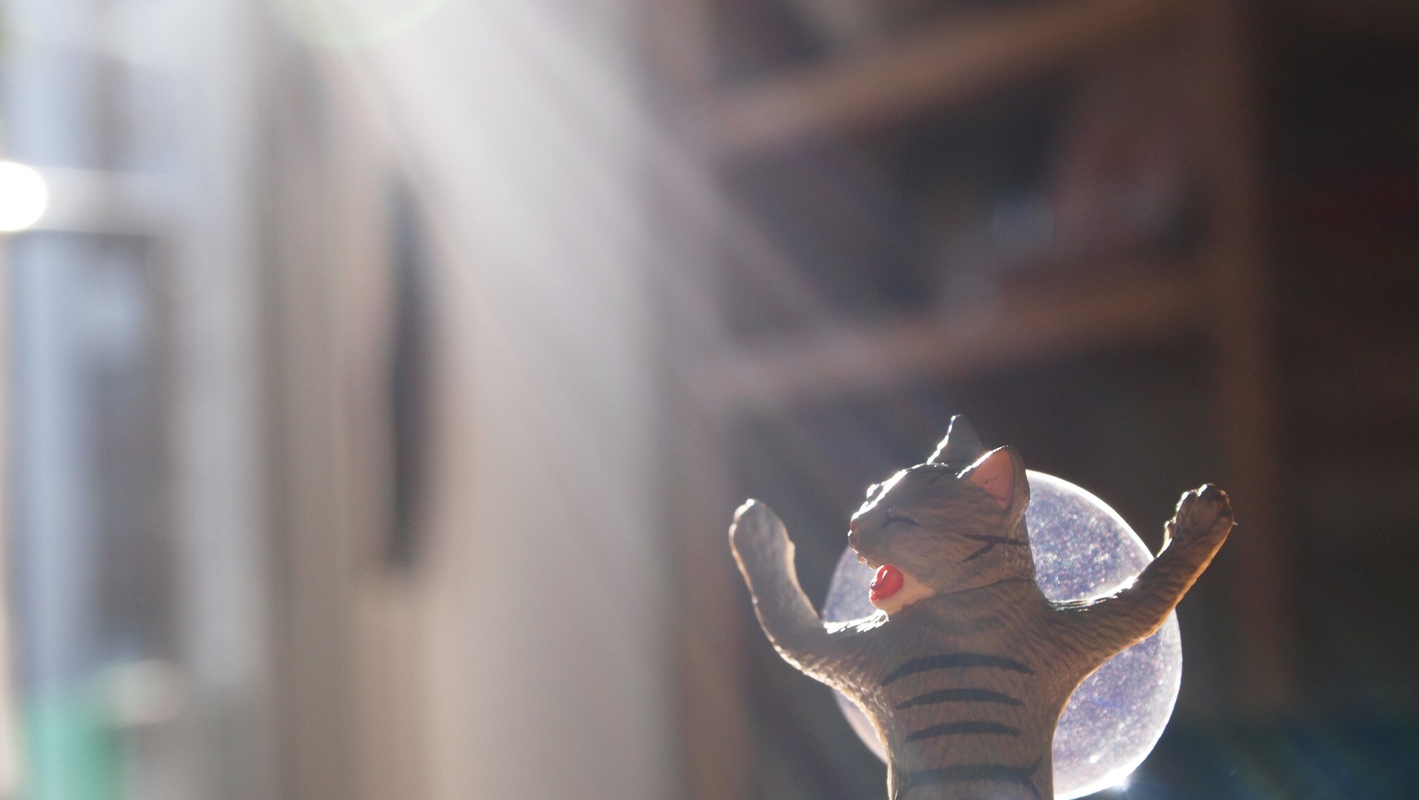 _inumayuge_'s profile picture. ねこまゆげ