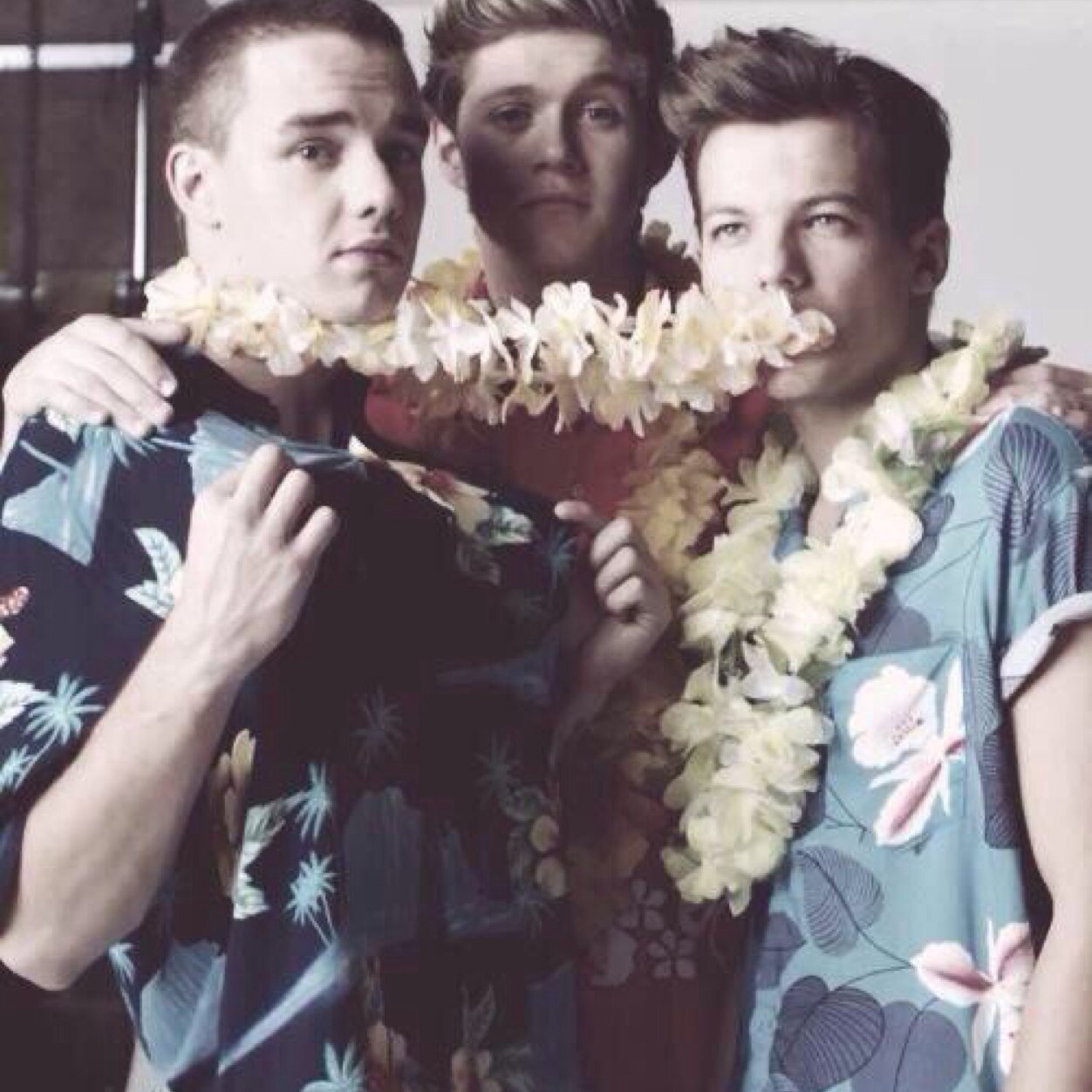 FOLLOW @sniffleyniall PLEASE