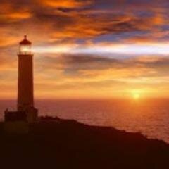 I try to retweet all the tweets sharing #peace.
I #followback active users because this is social media