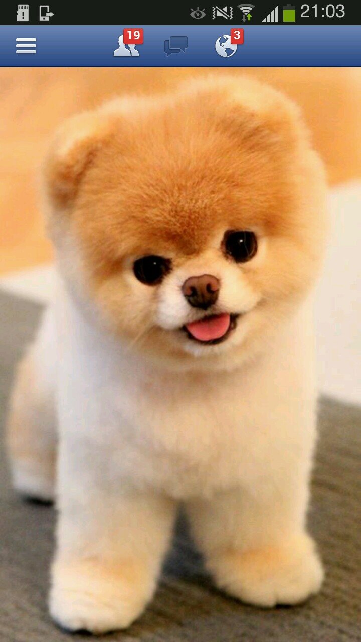 vviewvview's profile picture. 