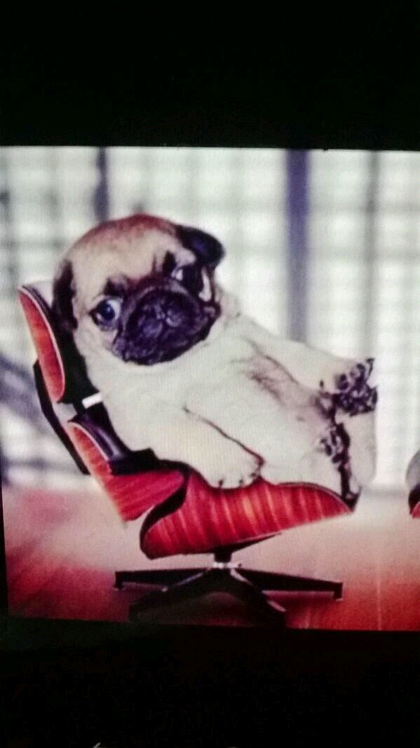 WalkerJuanito's profile picture. 