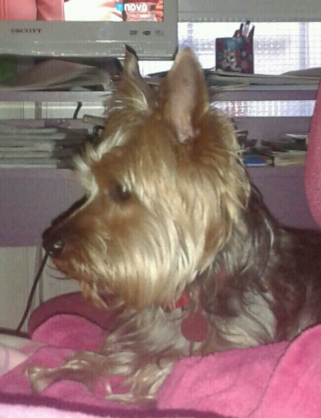 Angelatallon1's profile picture. 