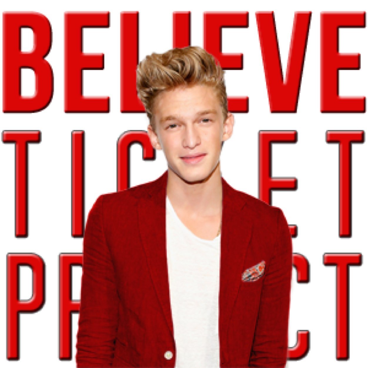 We've given away 14 tickets. Now a branch of the @BelieveTickProj specifically for Cody Simpson fans as of Jan 2014. #BelieveTicketProject
