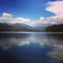 Whitney Douglas - @CampKeola - Twitter