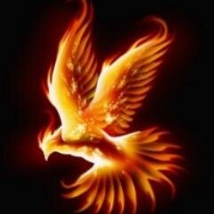 Brocks82's profile picture. Views expressed are my own