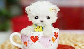 please follow me:)i follow back,love reconnected,also love to watch little league