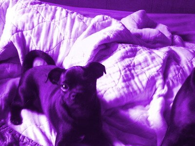 jmg3027's profile picture. 