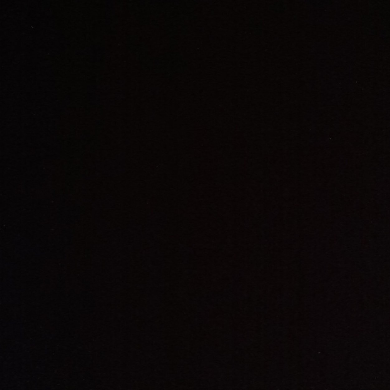 zacharyturtlez's profile picture. 