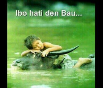 andrechaniago84's profile picture. teserah ada ..