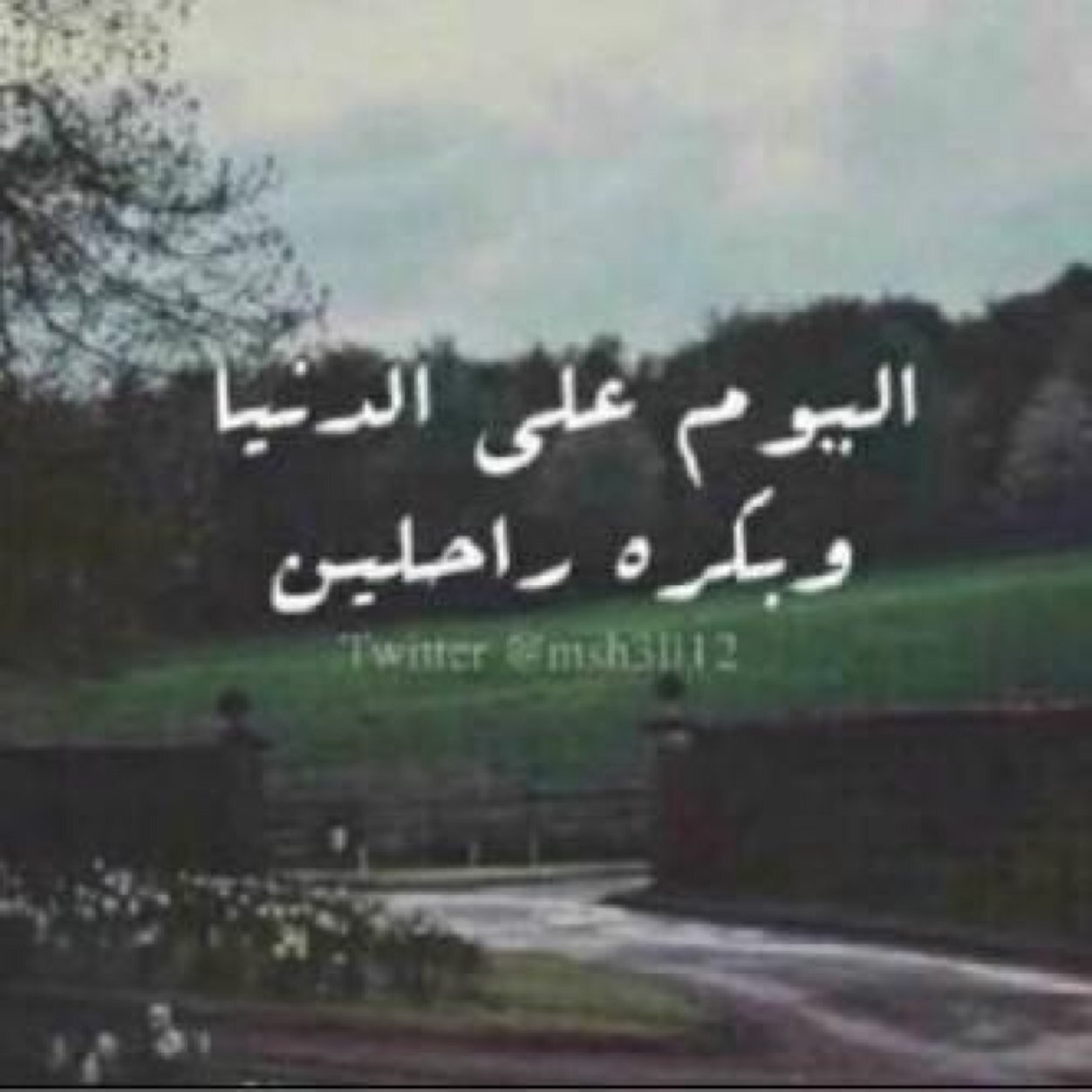 إنما غاية عمري ، جنة فيها يكونون ؛ هذا الحسآب اسعى فيهّ لإبقآء اثرٍ يجدرُ بِالذگر بعد انْ يُواريَنا الثَرى ، وليكون الاجر للأموات ايضاً .