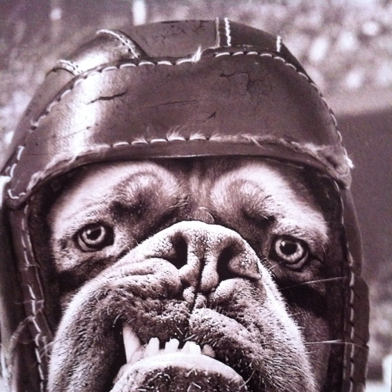 Passionate welsh rugby fan. Getting grumpier