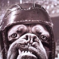 Alan Palmer (@fastflanker) 's Twitter Profile Photo