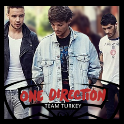 Harry Styles, Zayn Malik, Liam Payne, Niall Horan and Louis Tomlinson