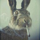 aaron cale - @ghostwithmost11 - Twitter