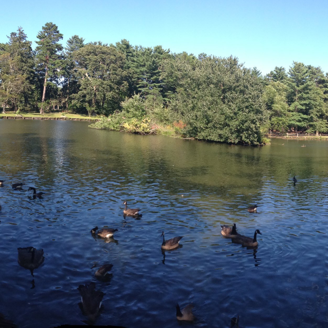 jimenezfer09's profile picture. 