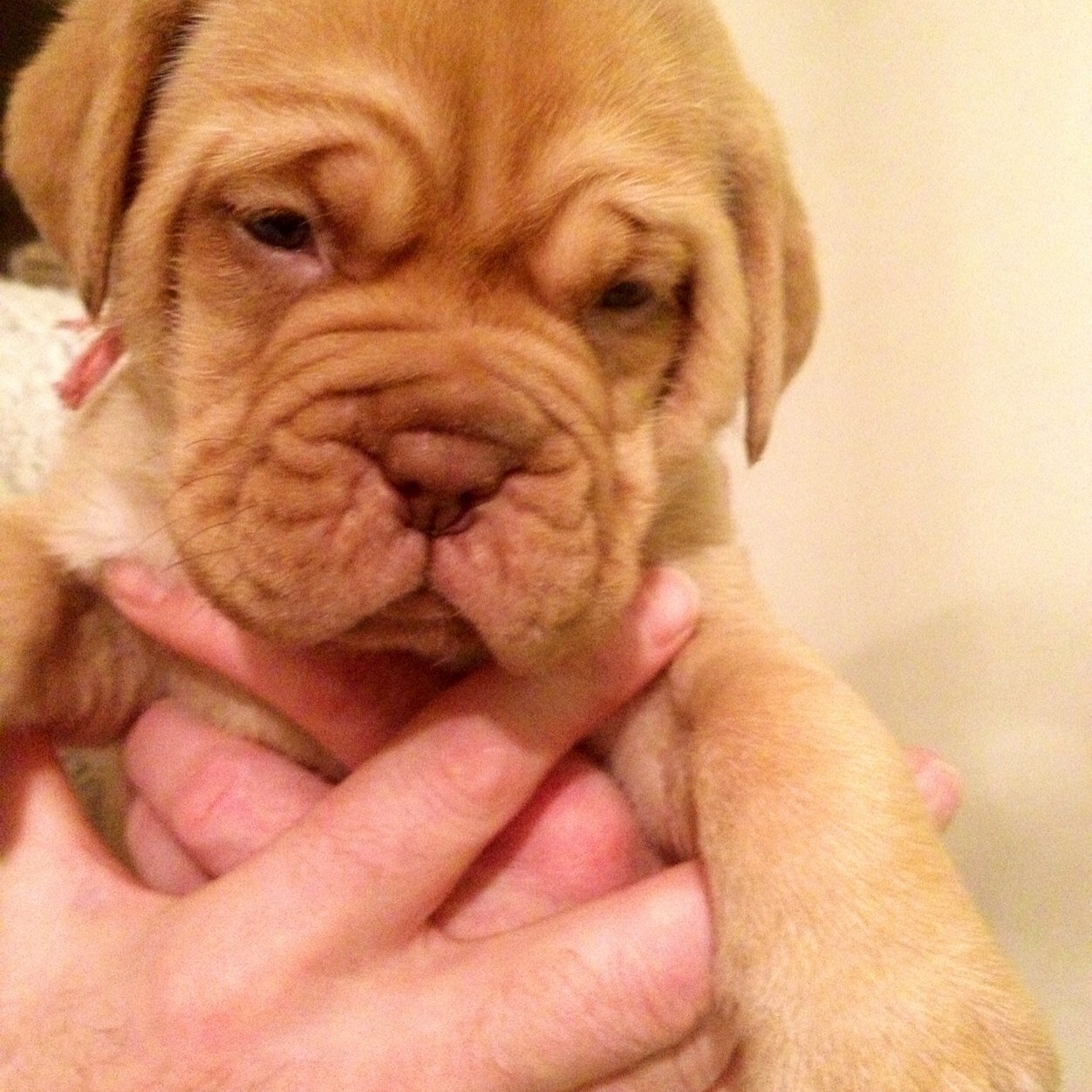 Bevpatman's profile picture. 