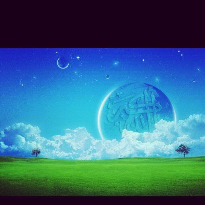 Saad5o2's profile picture. 