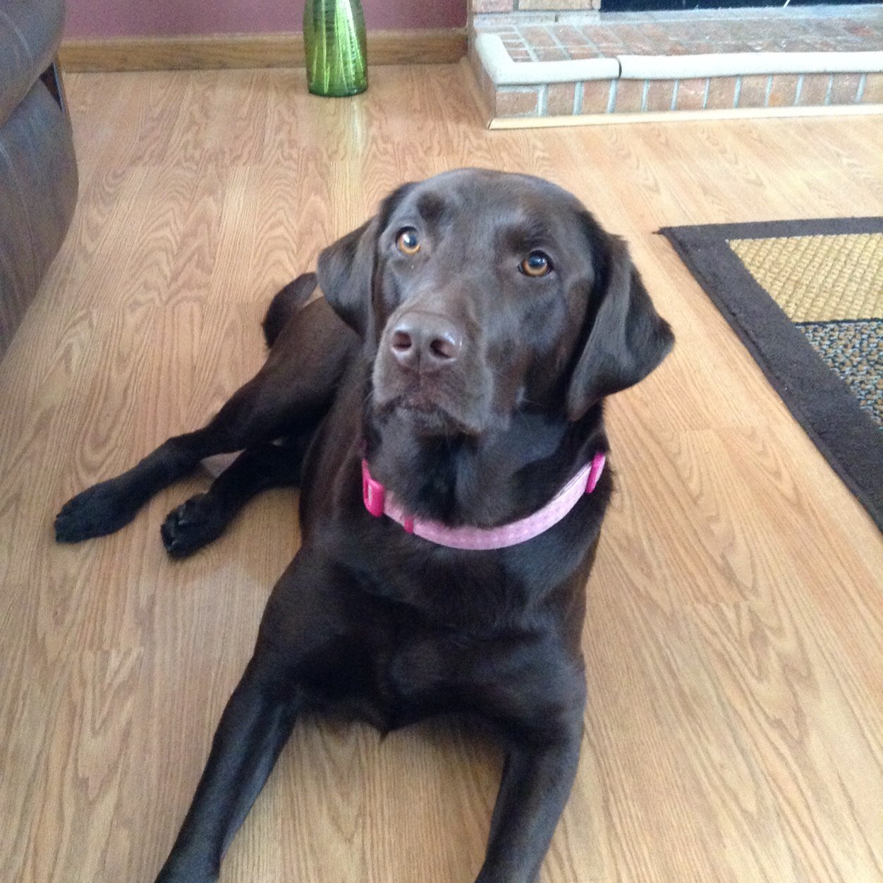 dcfootballer1's profile picture. Father, Husband, DKCU Academy Director of Soccer, DKCU u23 Women's HC